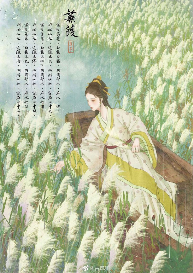 暗巷拳手